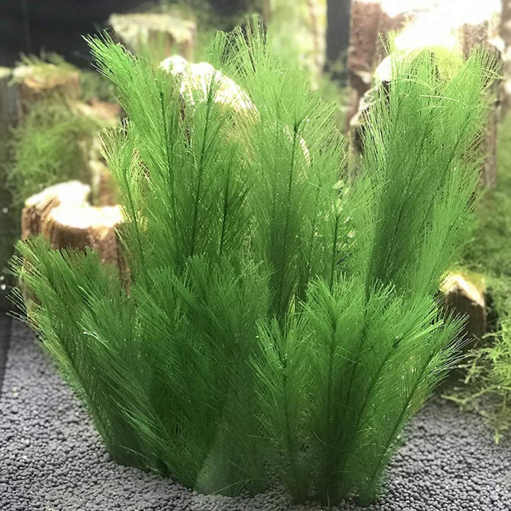 Aquarium Fish Artificial - 1/3 adet 28/40cm akvaryum balık tankı