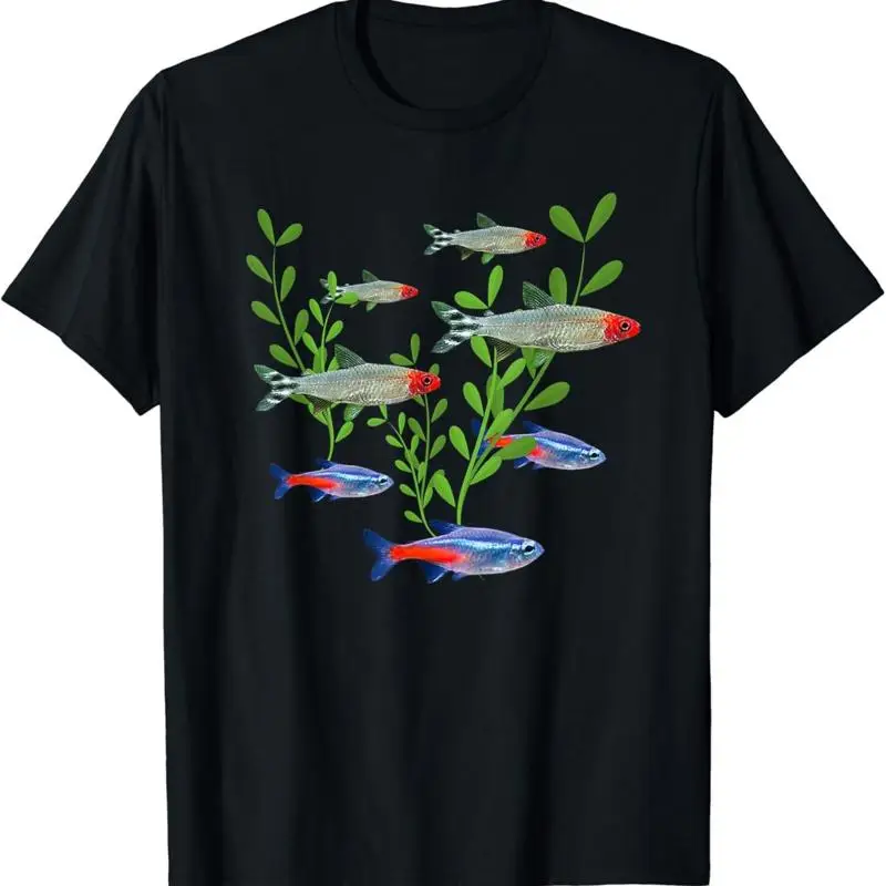 Tetra Fish In Aquarium - Tetras Akvaryum Neon Rummy Nose Balık