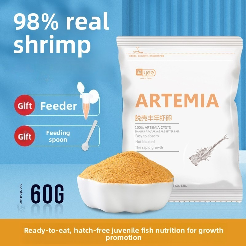 Tetra Fish In Aquarium - Yee Besleyici Artemia Yumurtaları Çıkım İçin