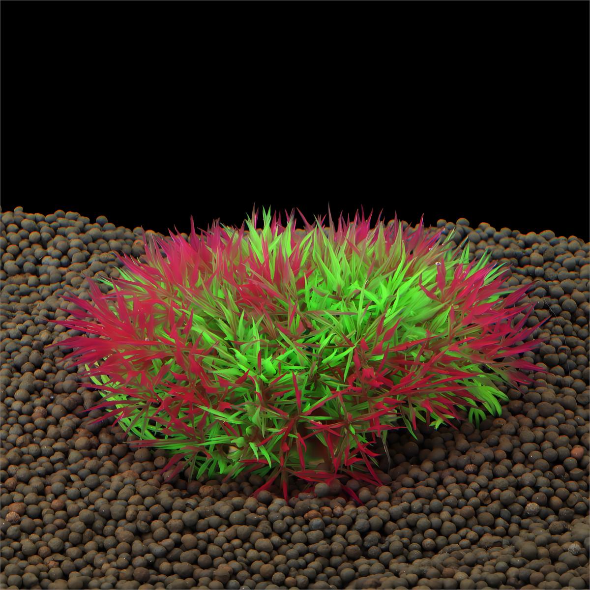 Yapay Su Çimi Akvaryum Bitki D - Aquarium Fish Artificial incelemesi ve fiyatı