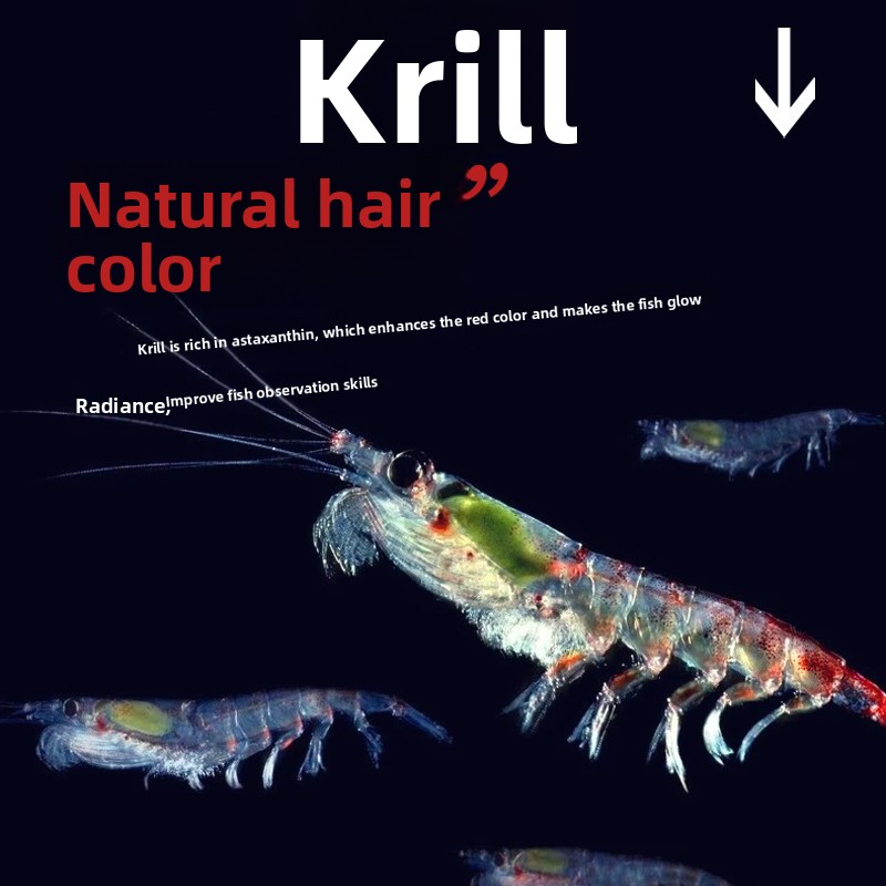 Huiqiancai Mikro Pelet Balık Y - Tetra Fish In Aquarium incelemesi ve fiyatı