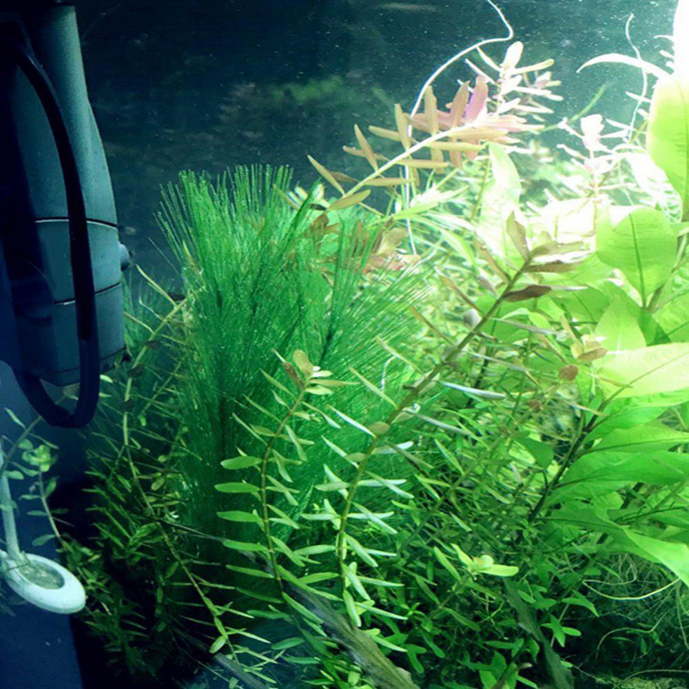 1/3 adet 28/40cm akvaryum balı - Aquarium Fish Artificial incelemesi ve fiyatı