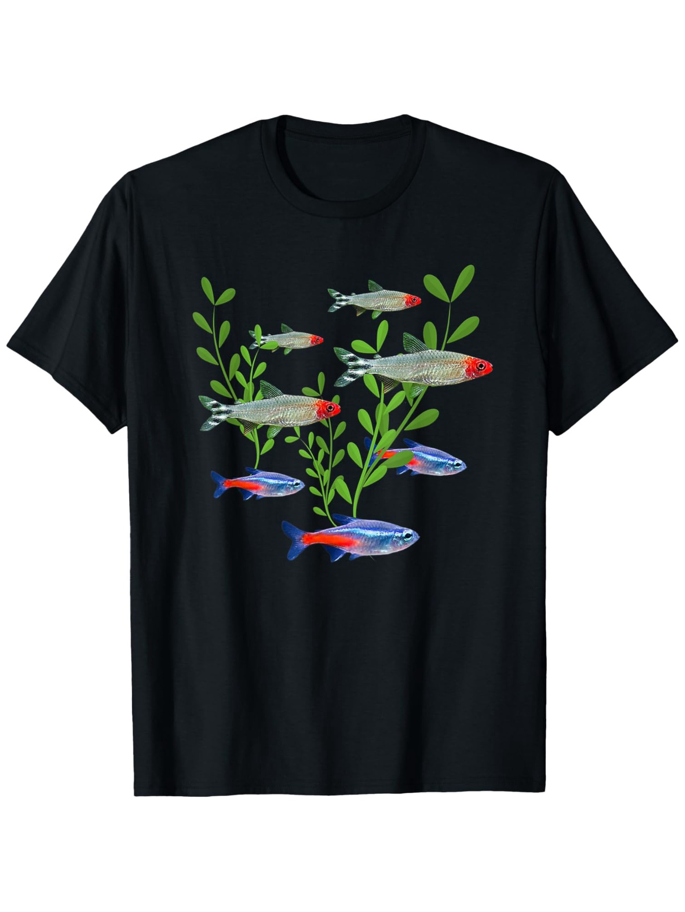 Erkek Neon ve Rummy Nose Tetra - Tetra Fish In Aquarium incelemesi ve fiyatı