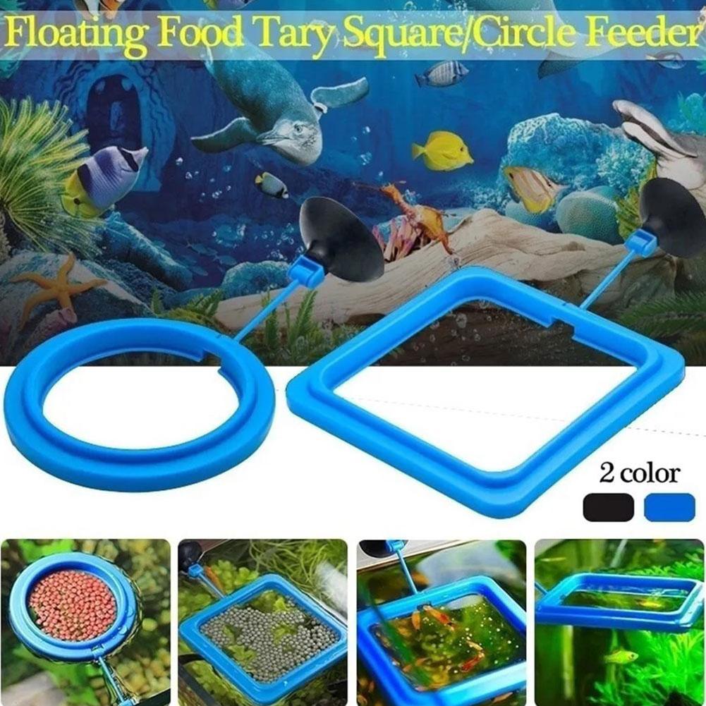 Balık Yemi Dağıtıcı Halka, Bal - Tetra Fish In Aquarium incelemesi ve fiyatı