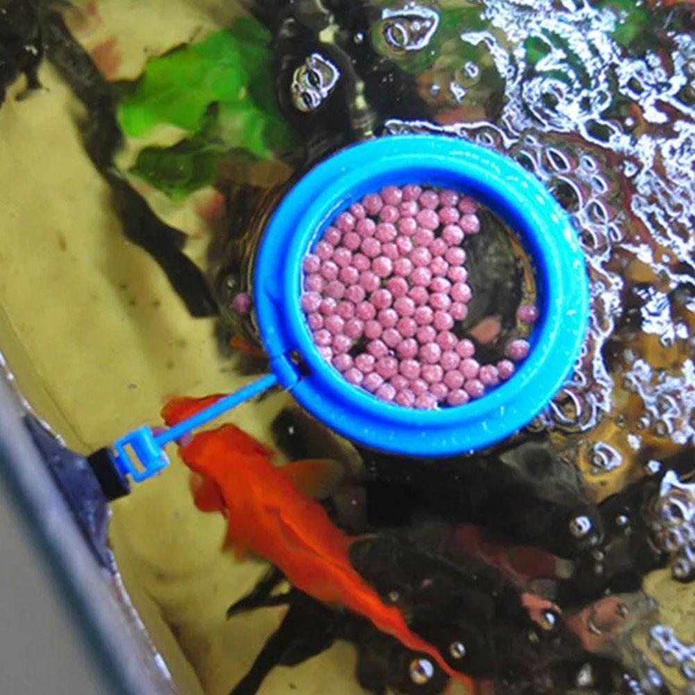 Balık Yemi Dağıtıcı Halka, Bal - Tetra Fish In Aquarium incelemesi ve fiyatı