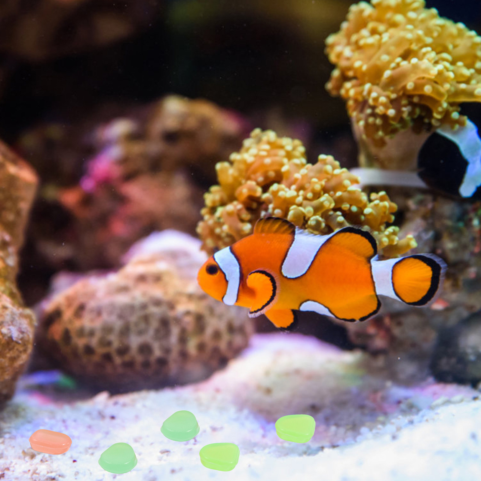400 Adet Karanlıkta Parlayan T - Aquarium Fish Glow In The Dark incelemesi ve fiyatı