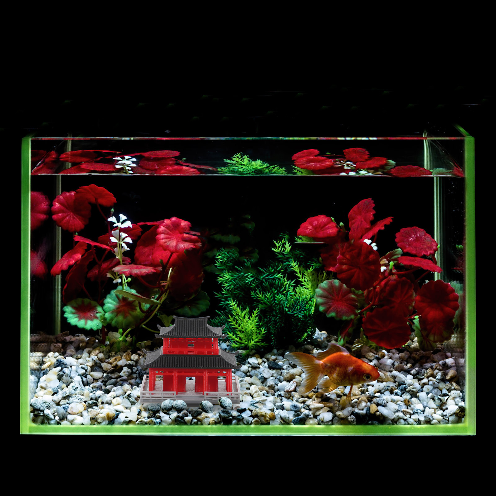 Çin Antik Pavilyonu, Siyah ve  - Aquarium Fish Tank incelemesi ve fiyatı