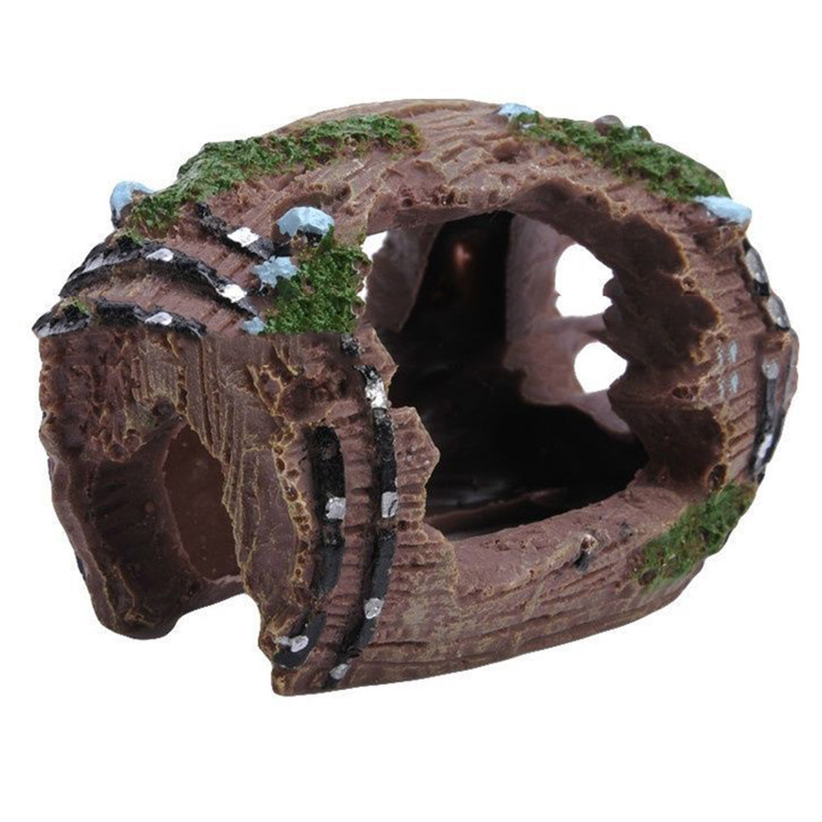Akvaryum Süsü Oyuk Delikli Küt - Aquarium Fish For Sale Online incelemesi ve fiyatı