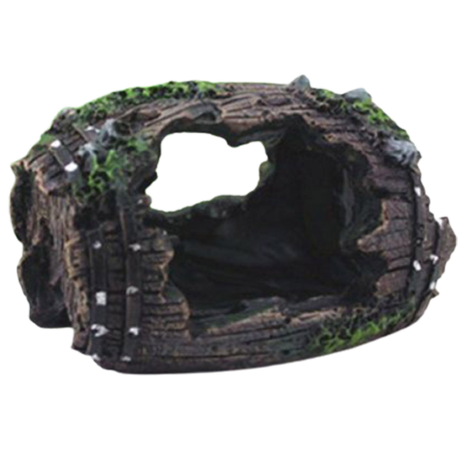 Akvaryum Süsü Oyuk Delikli Küt - Aquarium Fish For Sale Online incelemesi ve fiyatı