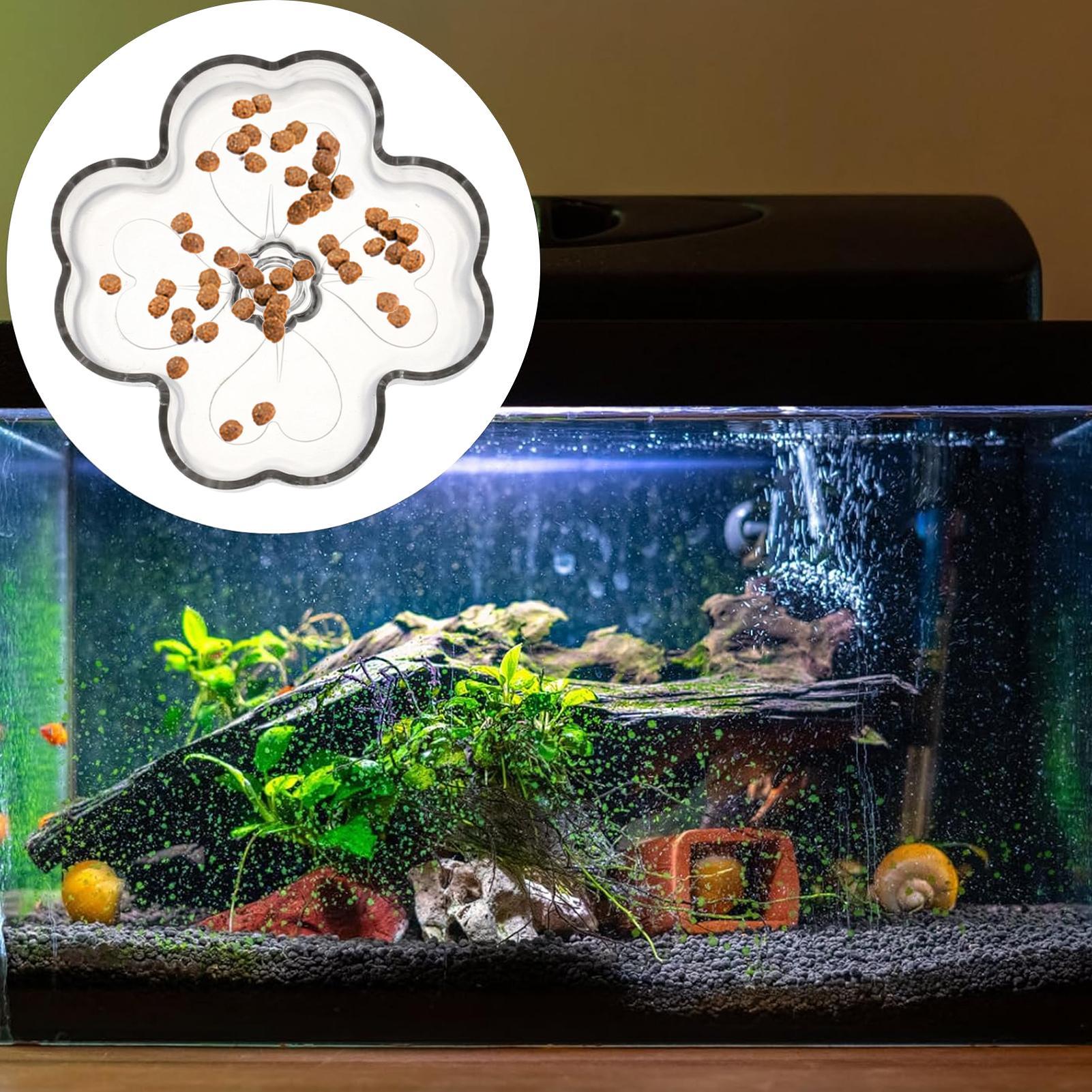 Akvaryum Besleyici Tepsi Vakum - Tetra Fish In Aquarium incelemesi ve fiyatı