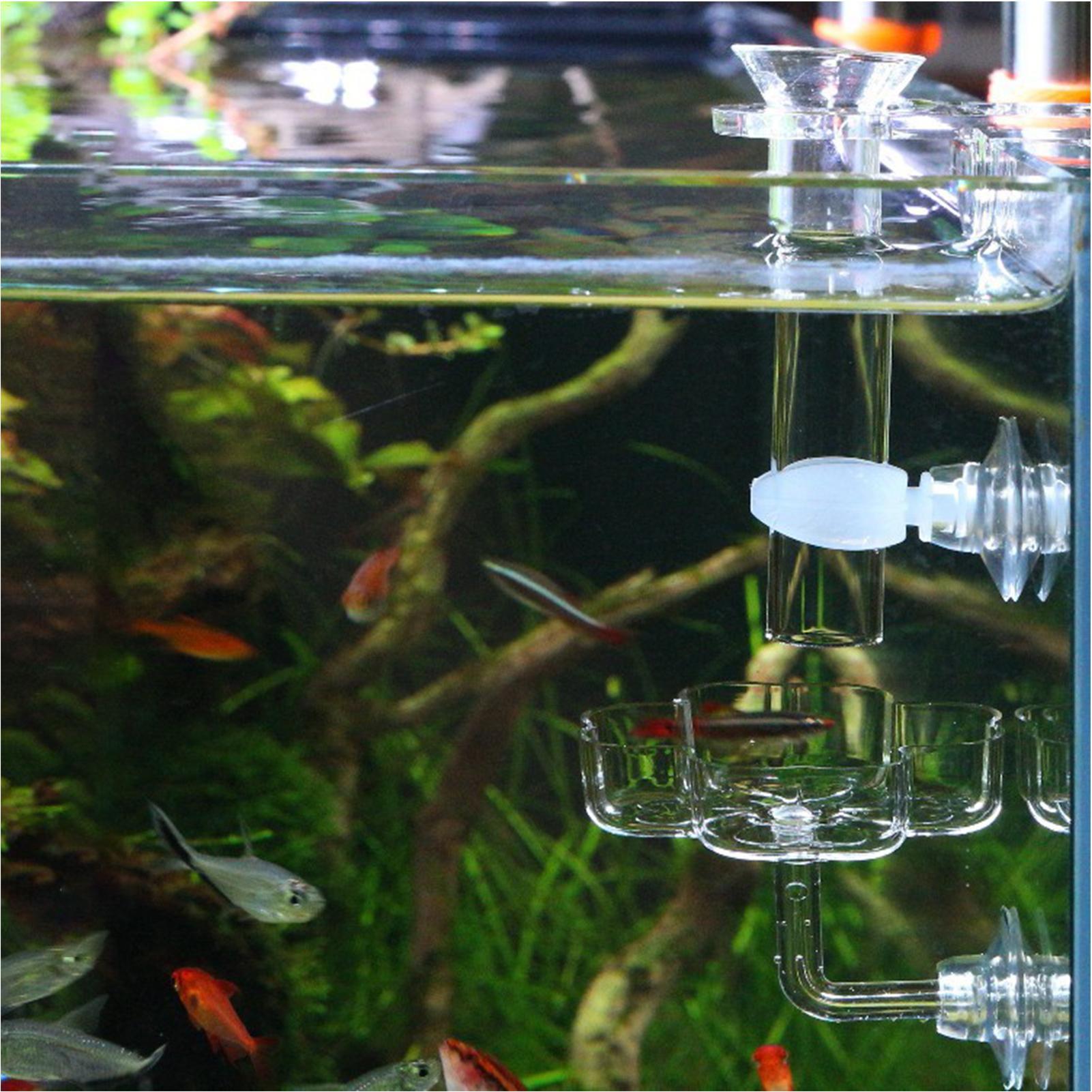 Akvaryum Besleyici Vantuz Çiçe - Tetra Fish In Aquarium incelemesi ve fiyatı