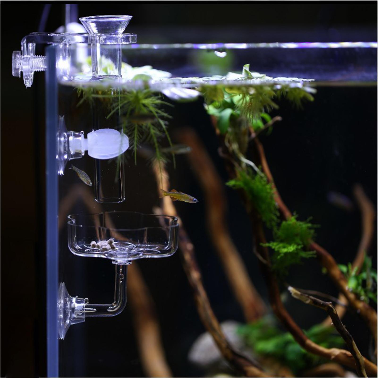 Akvaryum Besleyici Vantuz Çiçe - Tetra Fish In Aquarium incelemesi ve fiyatı