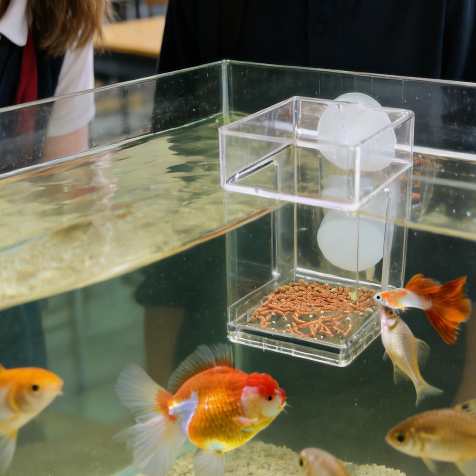 Akvaryum Besleyici Vantuzlu Ak - Tetra Fish In Aquarium incelemesi ve fiyatı
