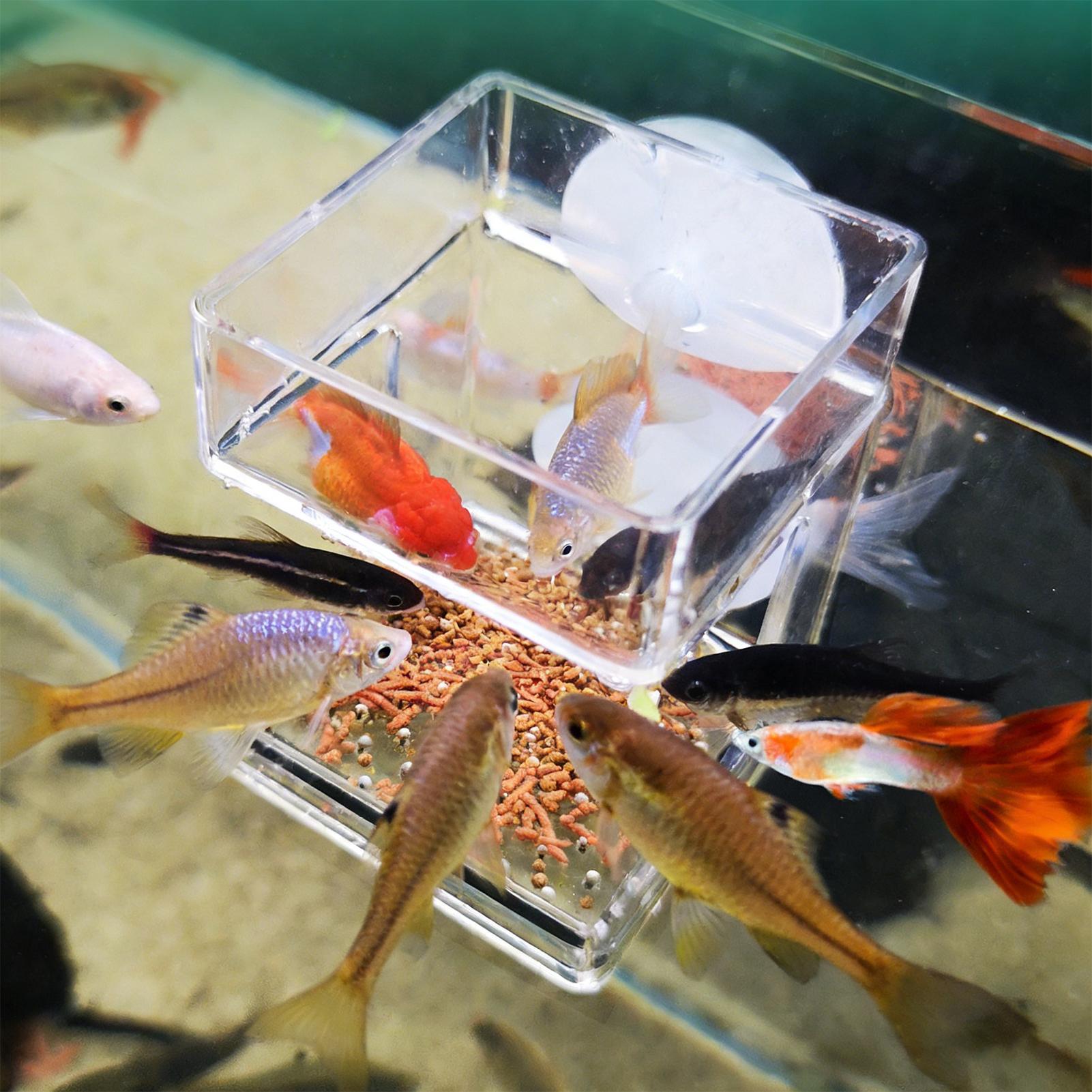 Akvaryum Besleyici Vantuzlu Ak - Tetra Fish In Aquarium incelemesi ve fiyatı
