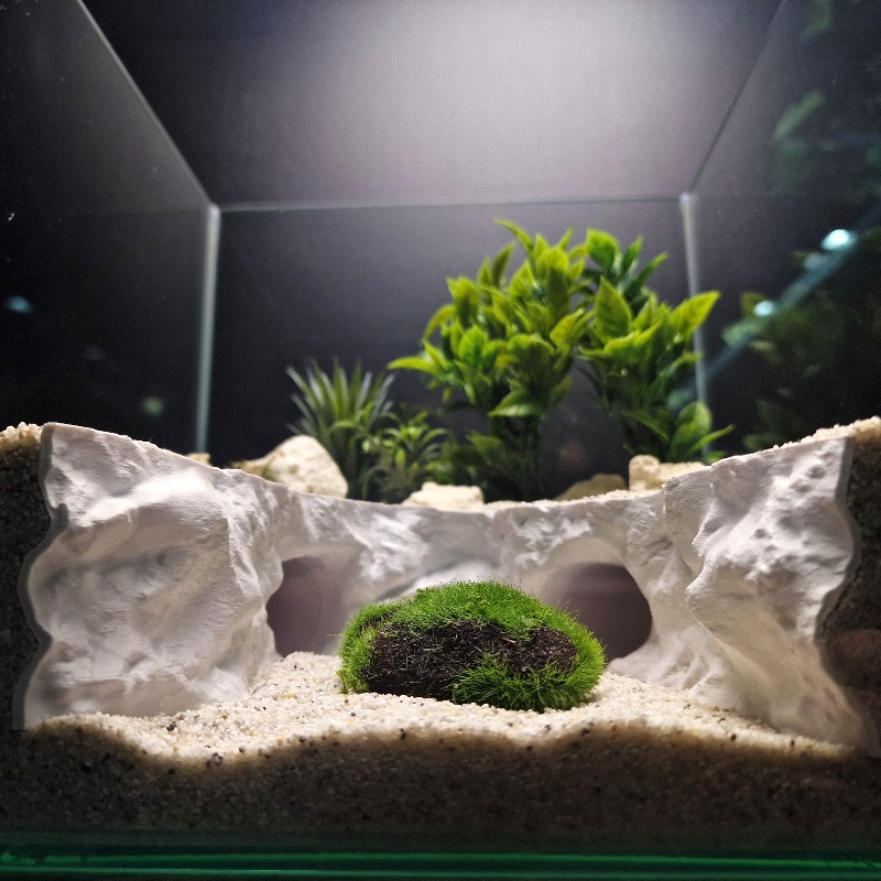 2'si 1 arada Su ve Kara Saklan - Aquarium Fishland incelemesi ve fiyatı