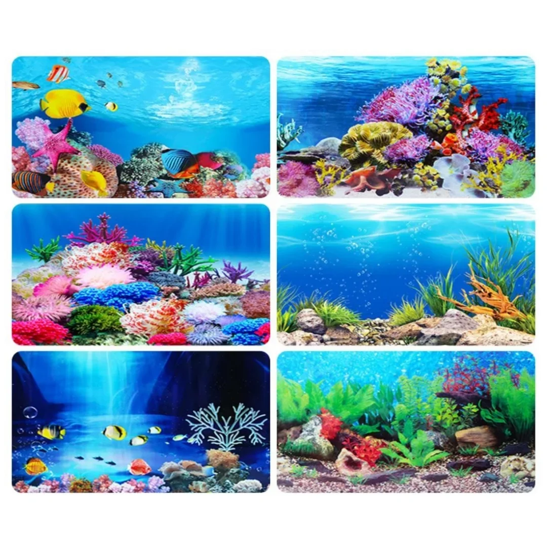 Arka plan Akvaryum 3D Etiket P - Aquarium Fish For Sale Online incelemesi ve fiyatı
