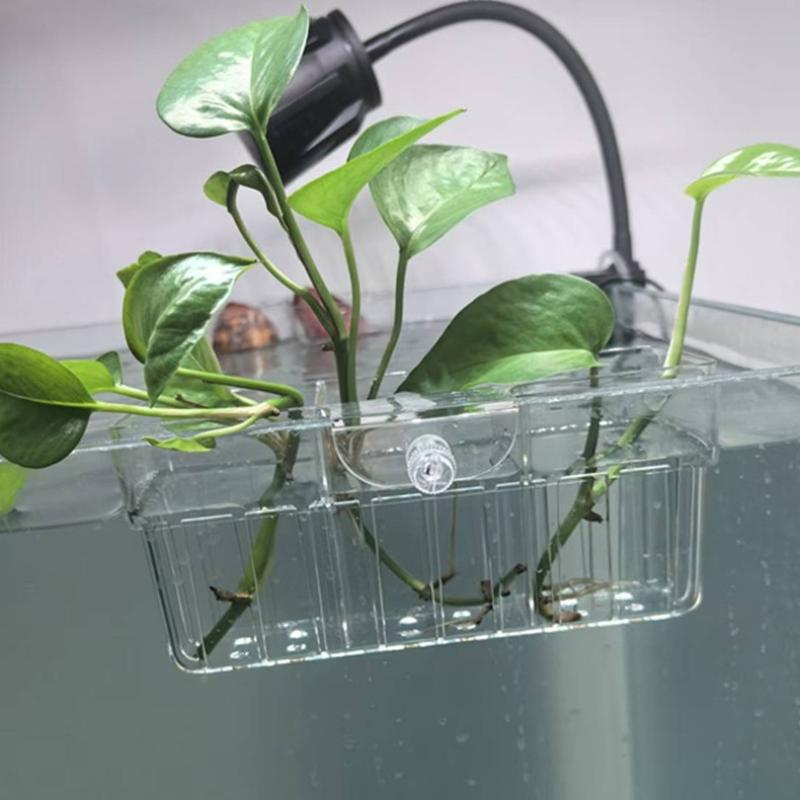 Hidroponik Bitki Sepeti Gıda S - Aquarium Fish Tank incelemesi ve fiyatı
