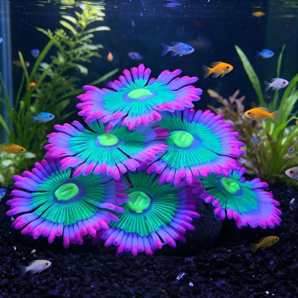 Parlayan Yumuşak Akvaryum Balı - Aquarium Fish Artificial incelemesi ve fiyatı