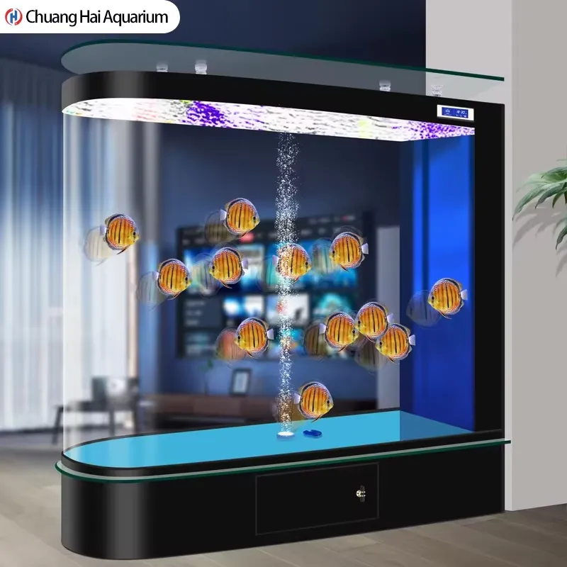 2026 Yeni Model Bullet Balık T - Aquarium Fishland incelemesi ve fiyatı