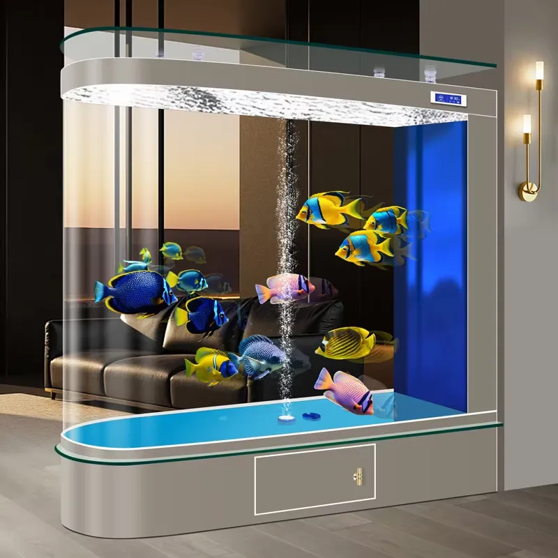 2026 Yeni Model Bullet Balık T - Aquarium Fishland incelemesi ve fiyatı