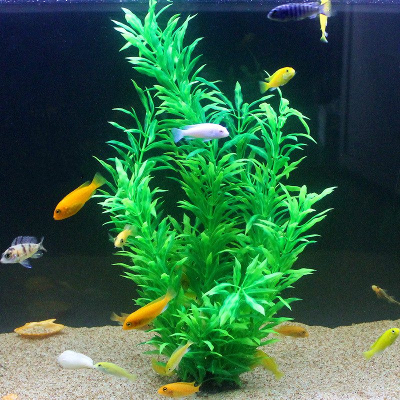 50 CM Yapay Balık Tankı Nadir  - Aquarium Fish Artificial incelemesi ve fiyatı
