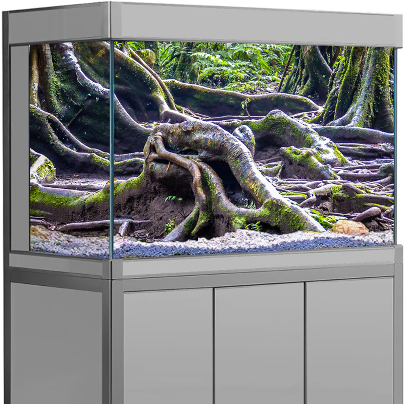 Balık Tankı Dekoru Akvaryum Ar - Aquarium Fish For Sale Online incelemesi ve fiyatı