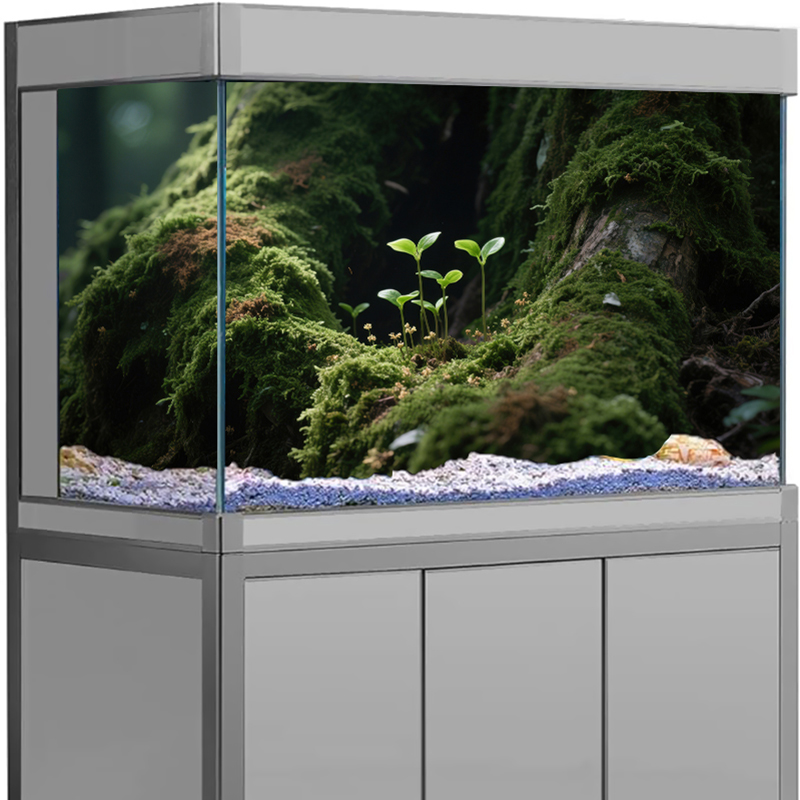 Balık Tankı Dekoru Akvaryum Ar - Aquarium Fish For Sale Online incelemesi ve fiyatı