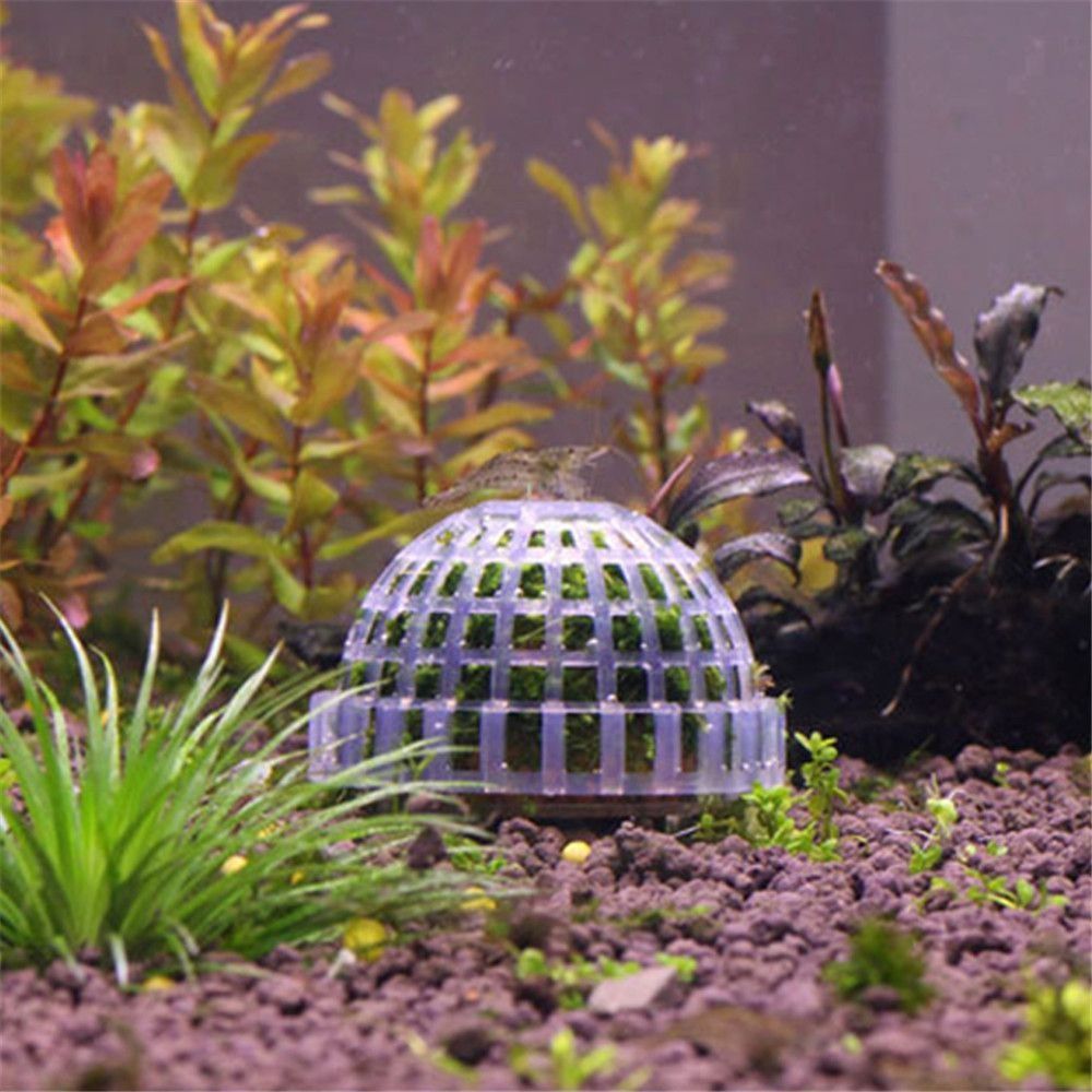 Yeni Plastik Süspansiyonlu Yos - Aquarium Fish For Sale Online incelemesi ve fiyatı