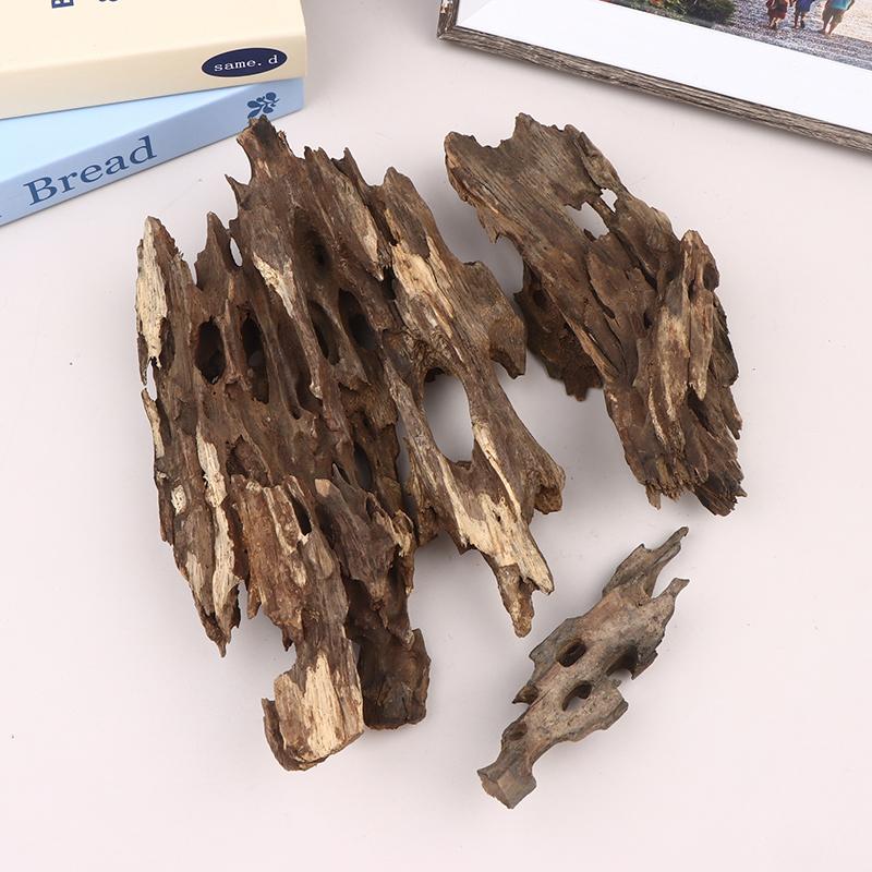 △   Karides Ağacı Akvaryum Dek - Aquarium Fish For Sale Online incelemesi ve fiyatı