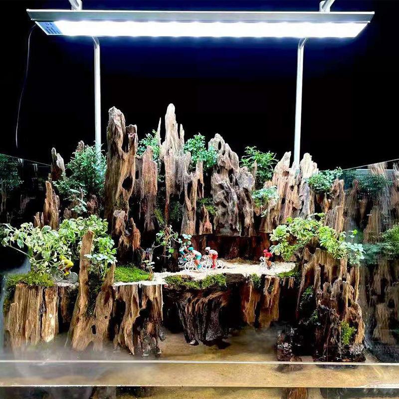 △   Karides Ağacı Akvaryum Dek - Aquarium Fish For Sale Online incelemesi ve fiyatı