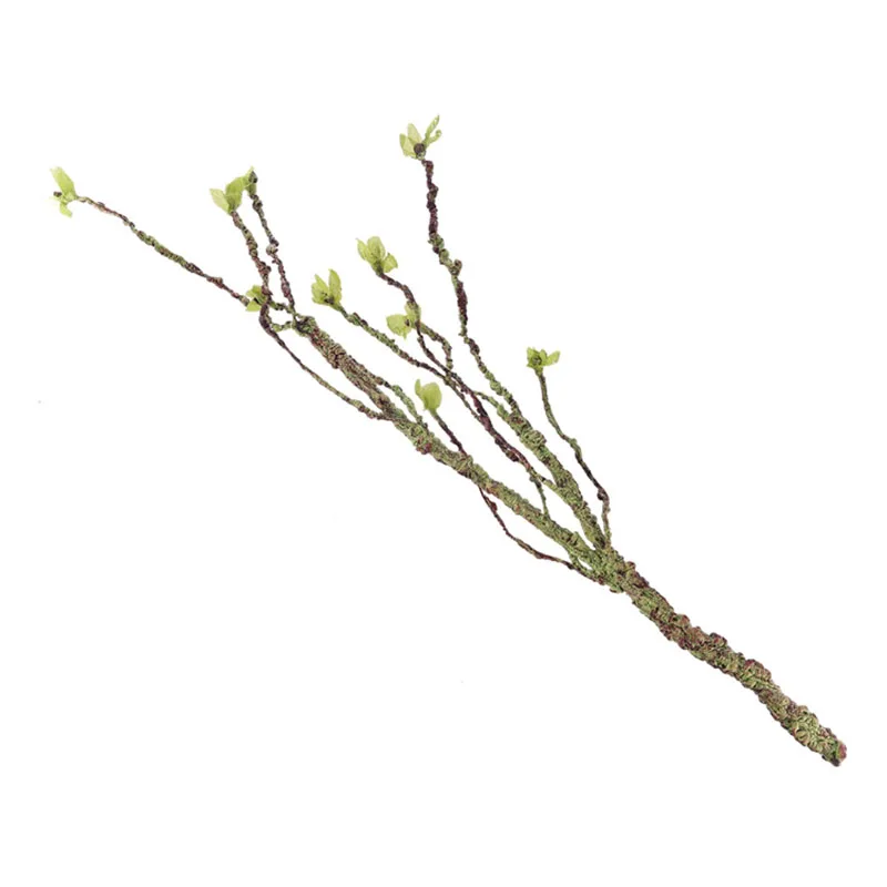 Vines dekor tırmanma dalları r - Aquarium Fish For Sale Online incelemesi ve fiyatı