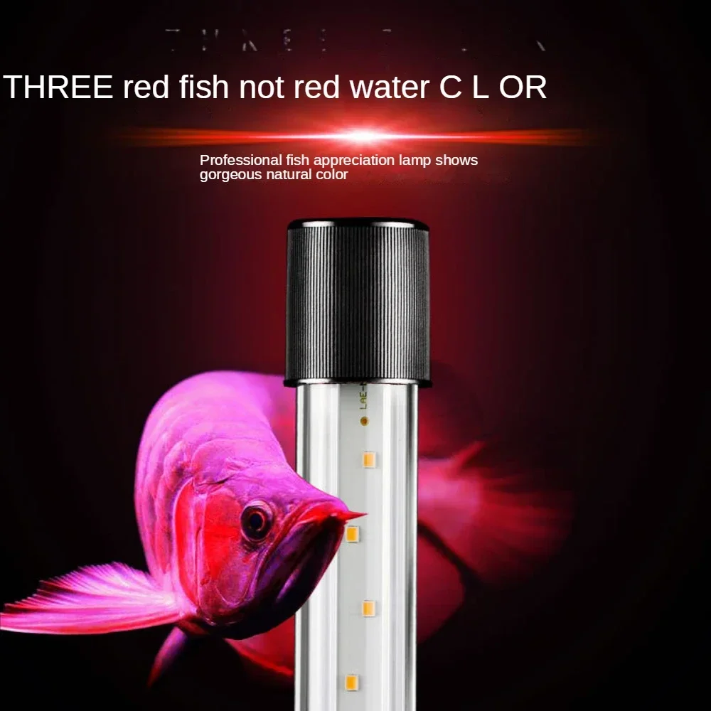 Arowana Lamba, LED Cam Akvaryu - Aquarium Fishland incelemesi ve fiyatı